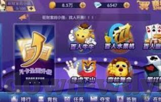 篮球世界杯投注量多少-篮球世界杯投注量分析，市场热情与数据背后的故事